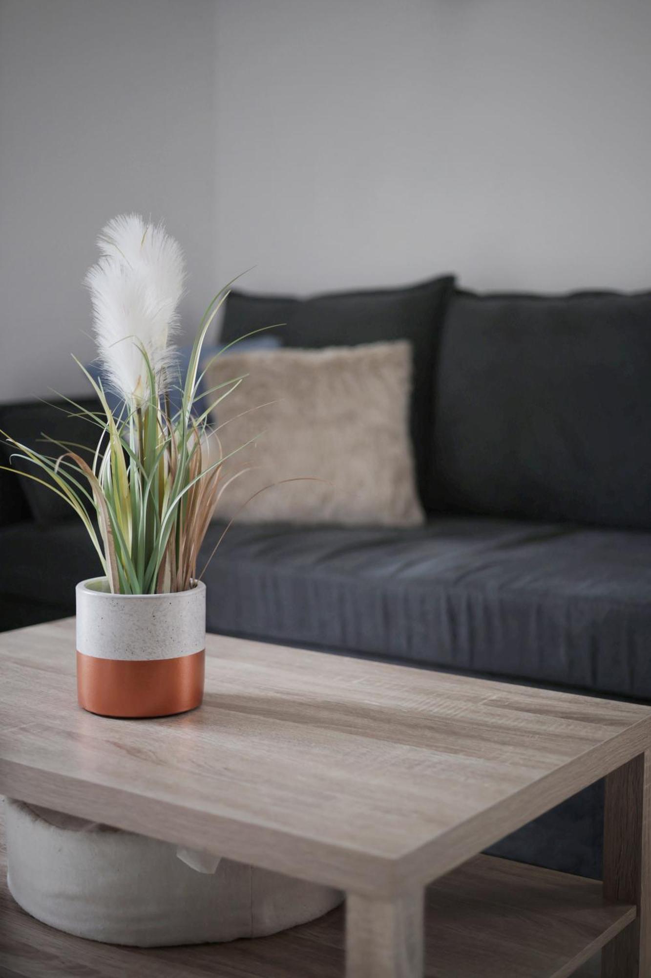 Appartement Familial Avec Jardin Ensoleille Dans La Cite Des Potiers Vallauris Esterno foto